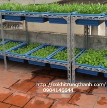 Kệ trồng rau - Kệ Sắt Trung Thành - Công Ty TNHH Sản Xuất Và Thương Mại Trung Thành